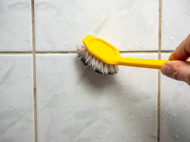 Mold Testing and Removal in Warren, MI