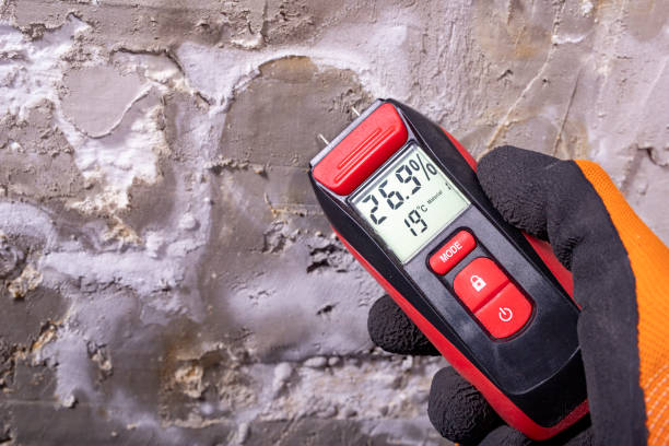 Best Office Mold Removal Services  in Warren, MI