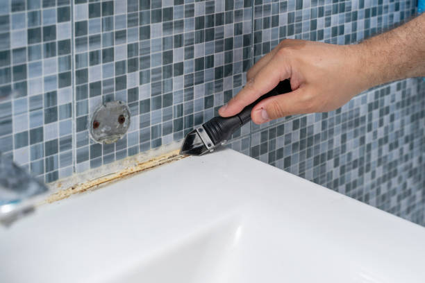 Best Certified Mold Removal  in Warren, MI