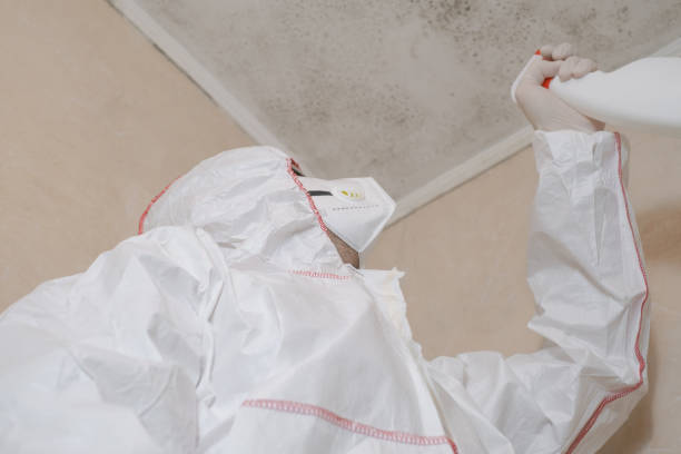 Best Mold Testing  in Warren, MI