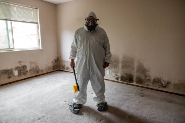 Best Crawl Space Mold Removal  in Warren, MI